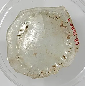 Bottom of a Vessel with Foot