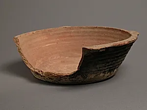 Bowl