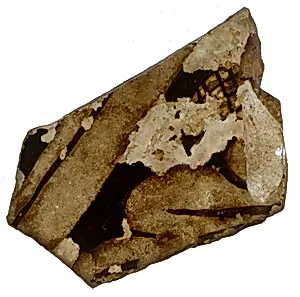 Fragment