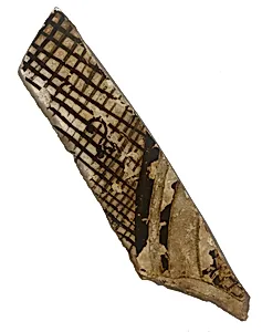 Fragment