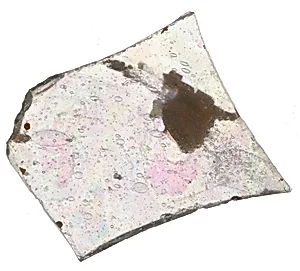 Fragment