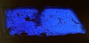 Fragment