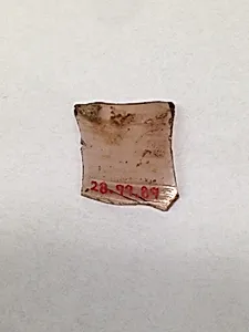 Fragment