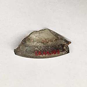 Fragment