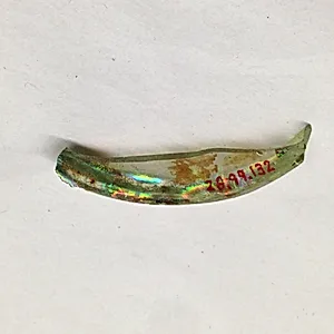 Fragment