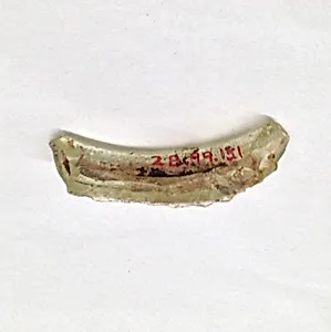 Fragment