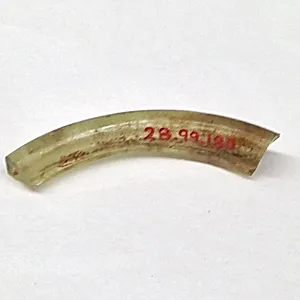 Fragment
