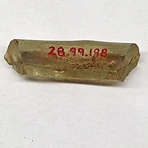 Fragment