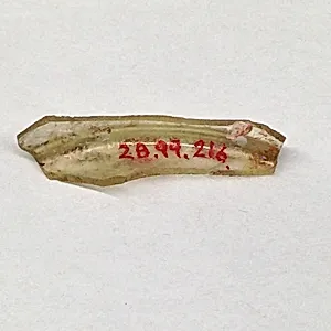 Fragment