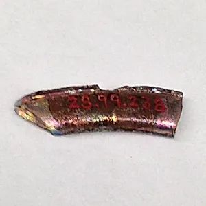 Fragment