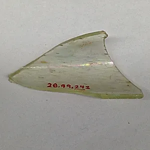 Fragment