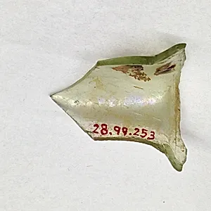 Fragment