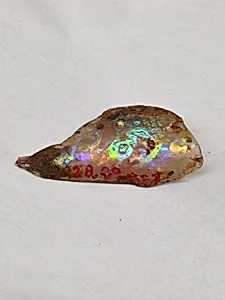 Fragment