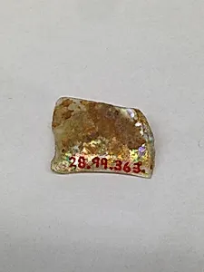 Fragment