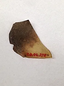 Fragment