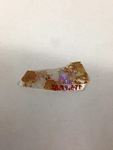 Fragment