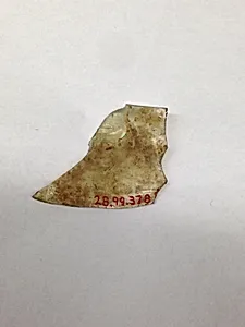 Fragment