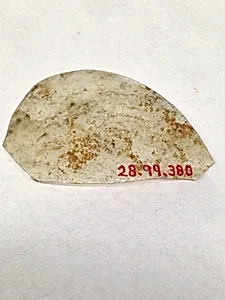 Fragment