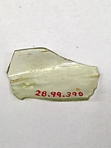 Fragment