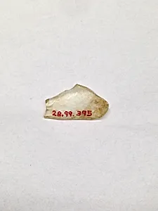 Fragment