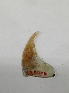 Fragment