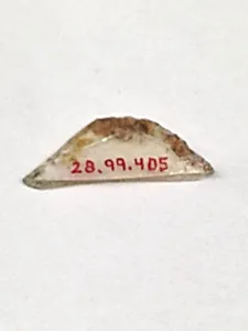 Fragment