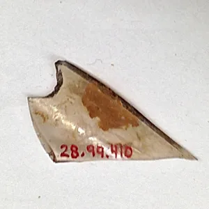 Fragment