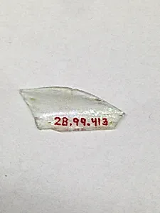 Fragment