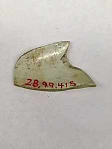Fragment