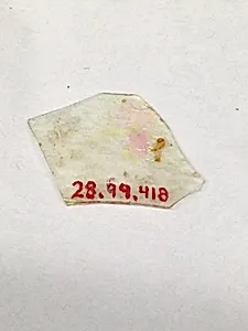 Fragment