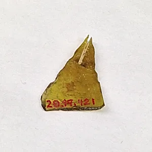 Fragment