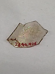 Fragment