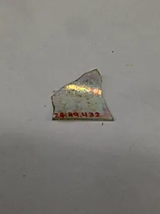 Fragment