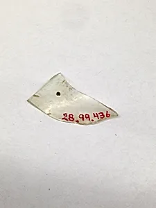 Fragment
