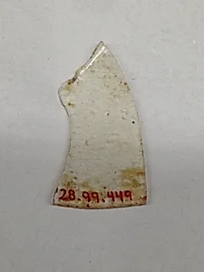 Fragment