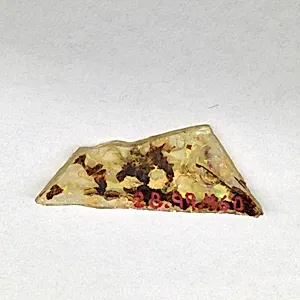 Fragment