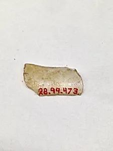 Fragment