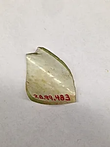 Fragment
