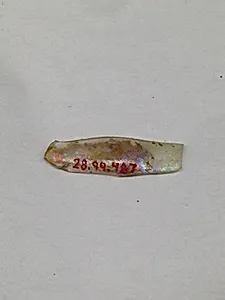 Fragment