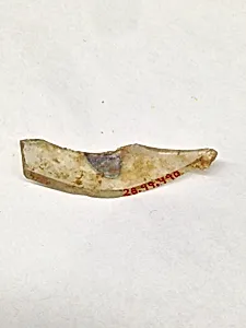 Fragment