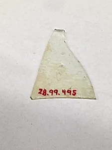 Fragment
