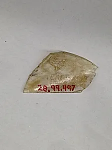 Fragment