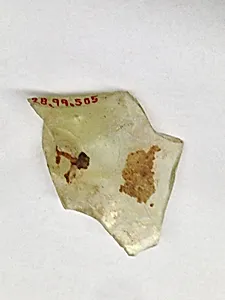 Fragment