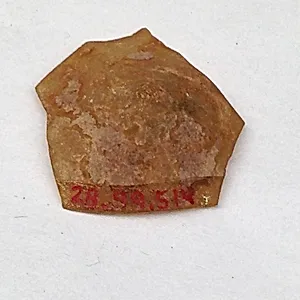 Fragment