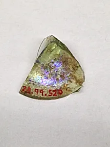Fragment