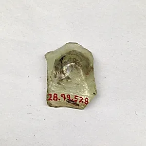 Fragment