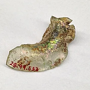 Fragment