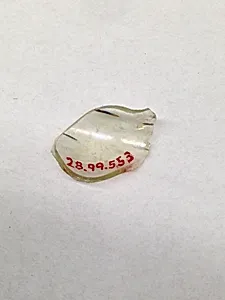 Fragment