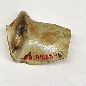 Fragment