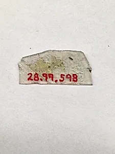 Fragment